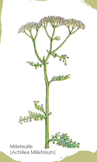 dessin de millefeuille en couleur