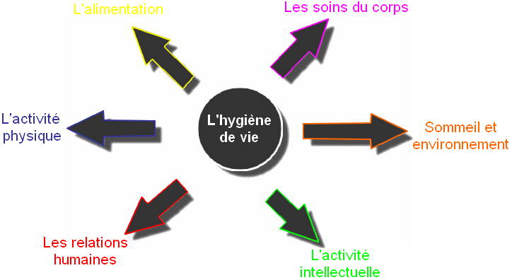 Diagramme hygiène de vie